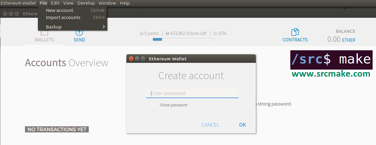 ethereum wallet test network
